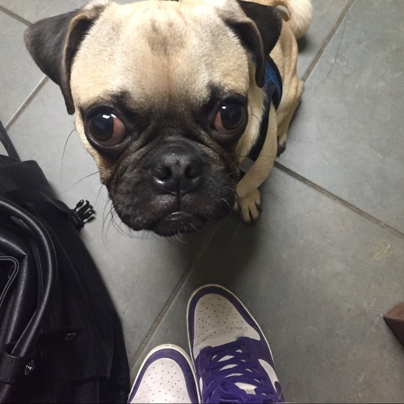 Meet your Posher, Danielle - Picture 2 of 3