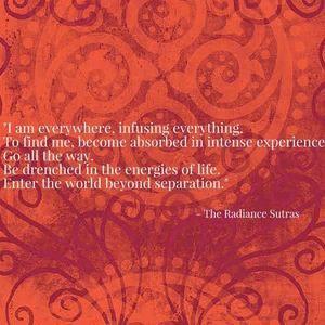 Meet your Posher, Colleen