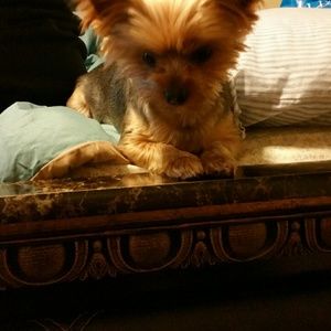 Meet your Posher, Quinn