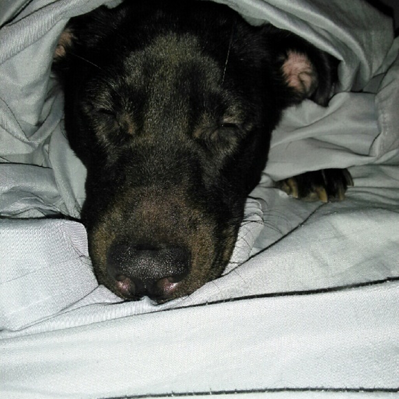 Meet your Posher, Sarah - Picture 1 of 1