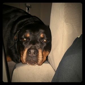 Meet your Posher, Jennifer