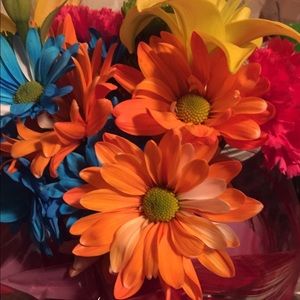 Meet your Posher, Ali