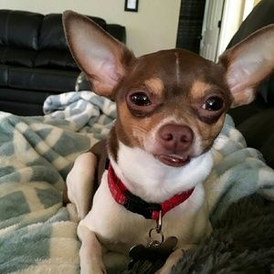 Meet your Posher, Denise