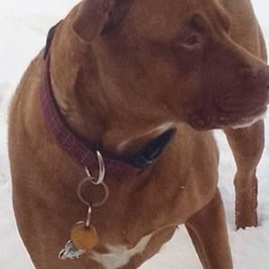 Meet your Posher, Penny