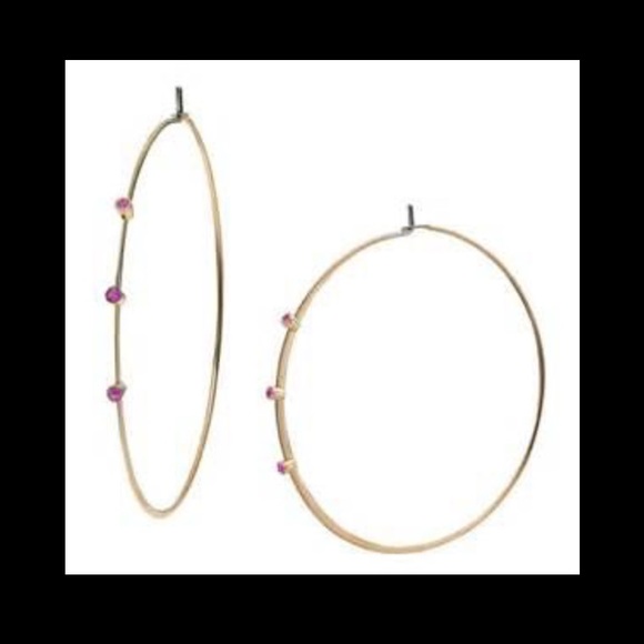 Michael Kors Whisper Hoop Earrings