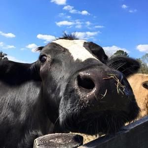 Meet your Posher, Jackie