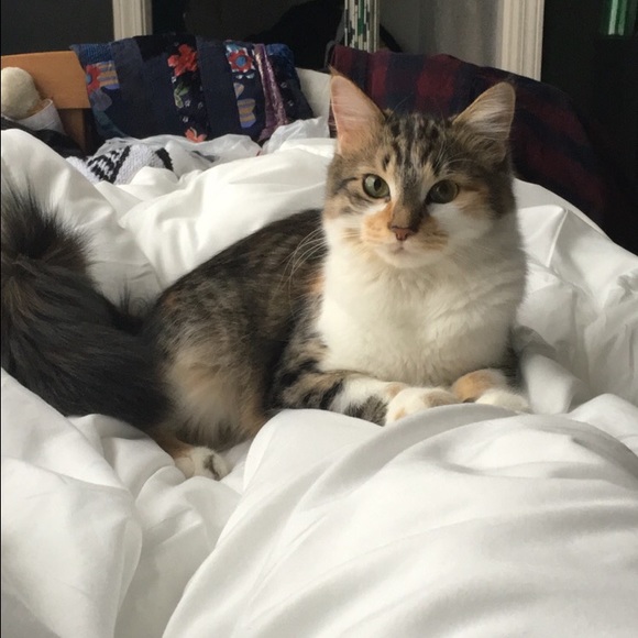 Meet your Posher, Kevin - Picture 1 of 1