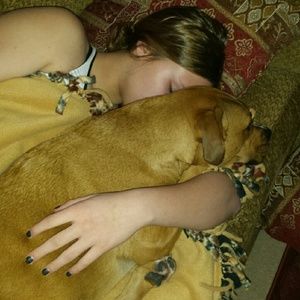 Meet your Posher, Dawn