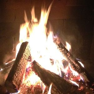 Meet your Posher, Illena