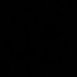 Meet your Posher, Roberto