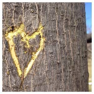 Meet your Posher, Sophia