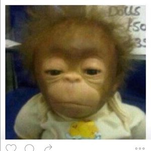 Meet your Posher, Tracy