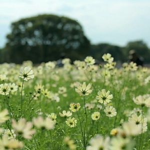 Meet your Posher, Thu