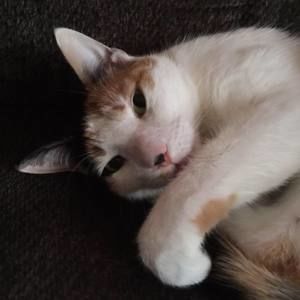 Meet your Posher, Kristy