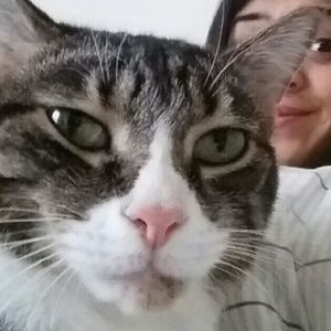 Meet your Posher, Amber