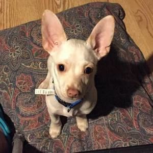 Meet your Posher, Glenda