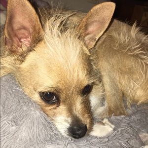 Meet your Posher, Alli