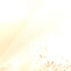 Meet your Posher, Nadine