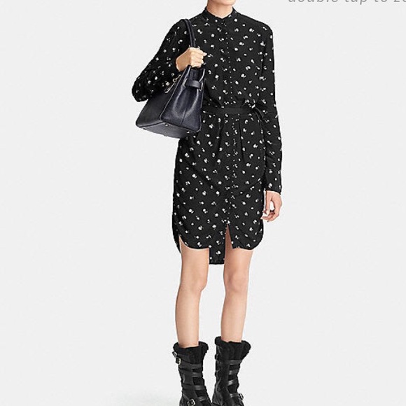 🚫NOT AVAILABLE🚫 - Picture 4 of 4