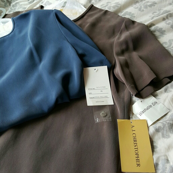 2 100% Silk Washable Blouses