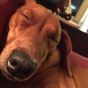 Meet your Posher, Christie