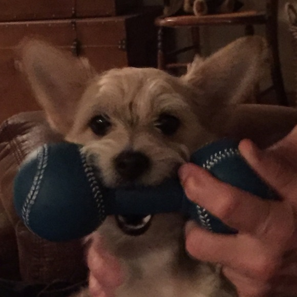 Meet your Posher, Sarah - Picture 1 of 1