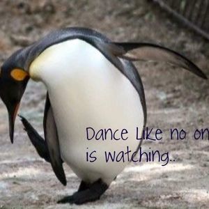 Meet your Posher, Cathy