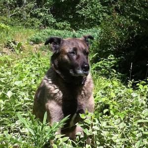 Meet your Posher, Thea