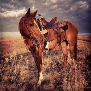 Meet your Posher, Logan