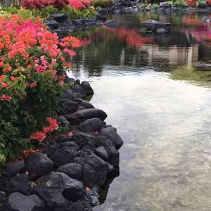 Meet your Posher, Katy