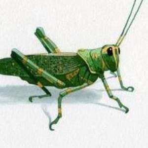 Meet your Posher, Vicente