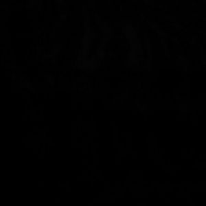 Meet your Posher, Stormie