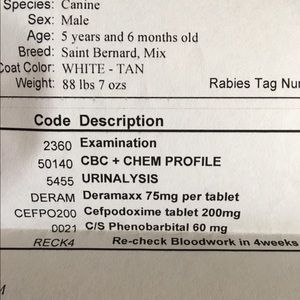 BIG THANK YOU TO ALL THAT HAVE HELPED OUR DOG DEX!