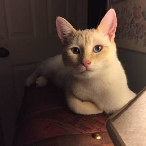 Meet your Posher, Debra