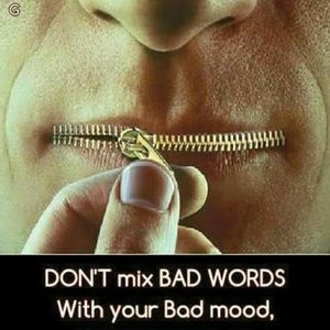 Meet your Posher, Donovan