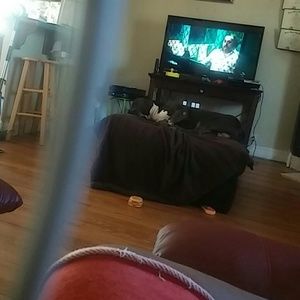 Meet your Posher, Crystal