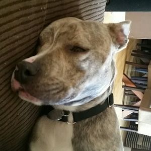 Meet your Posher, Barbara