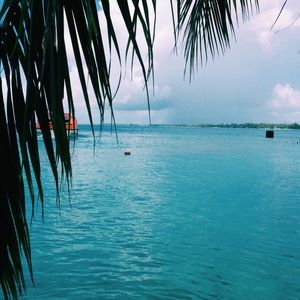 Meet your Posher, Kennzie