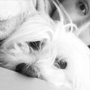 Meet your Posher, Joelle