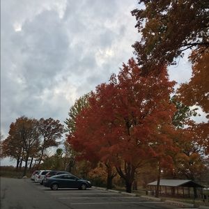 Meet your Posher, Guoli