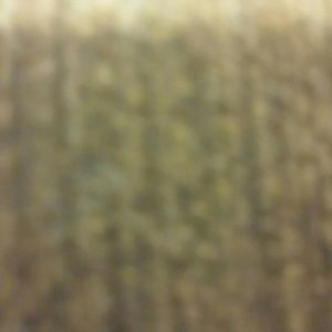 Meet your Posher, Kristina