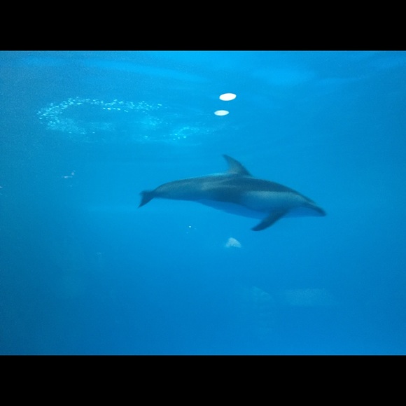 Meet your Posher, Samaneh - Picture 1 of 1