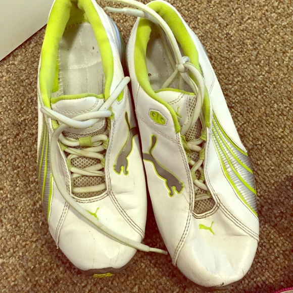 Used Pumas