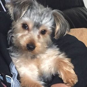 Meet your Posher, Nicole