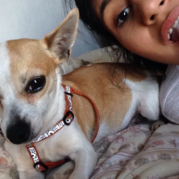 Meet your Posher, Eli - Picture 2 of 2