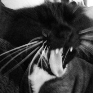 Meet your Posher, Leah