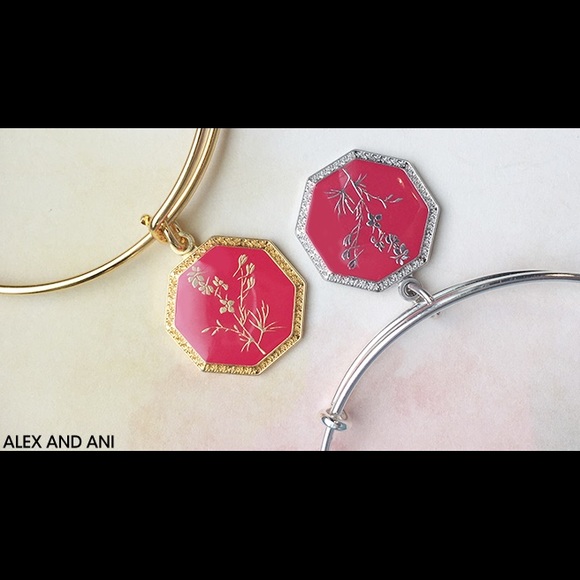 Alex and Ani Bracelete