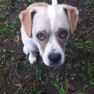 Meet your Posher, Dina