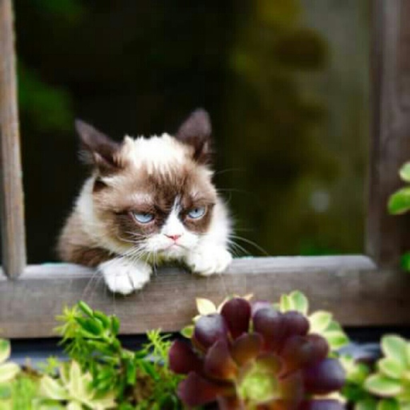 "I WANT A COACH" - Picture 1 of 1