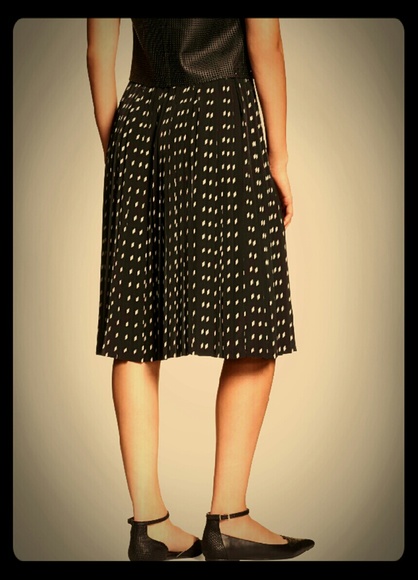 Pleated Skirt